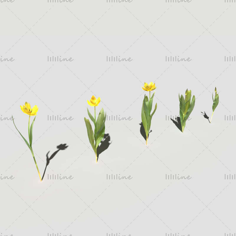 Dandelion Meadow Patch 3D Model
